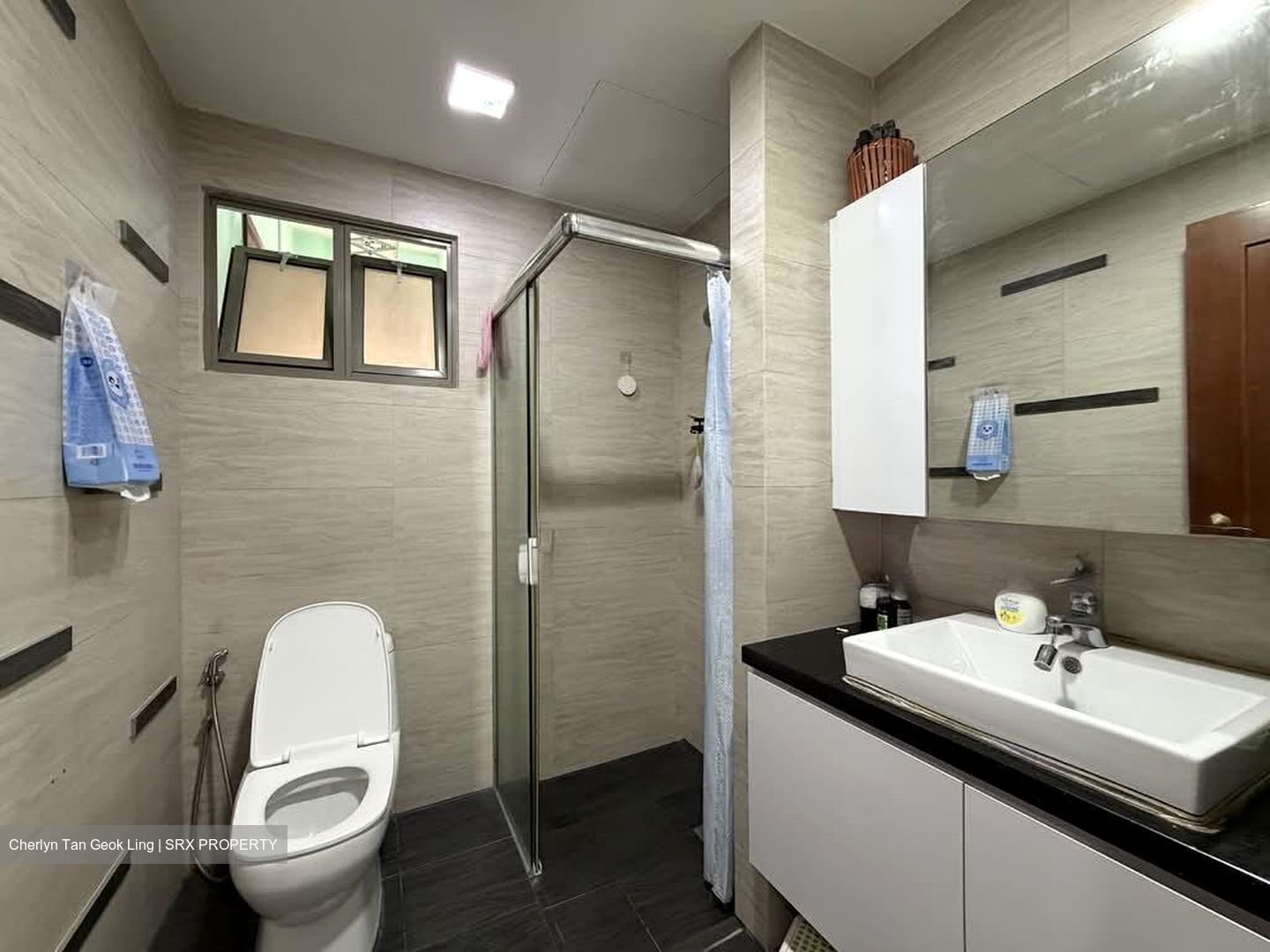 Parc Vista (D22), Condominium #529229421